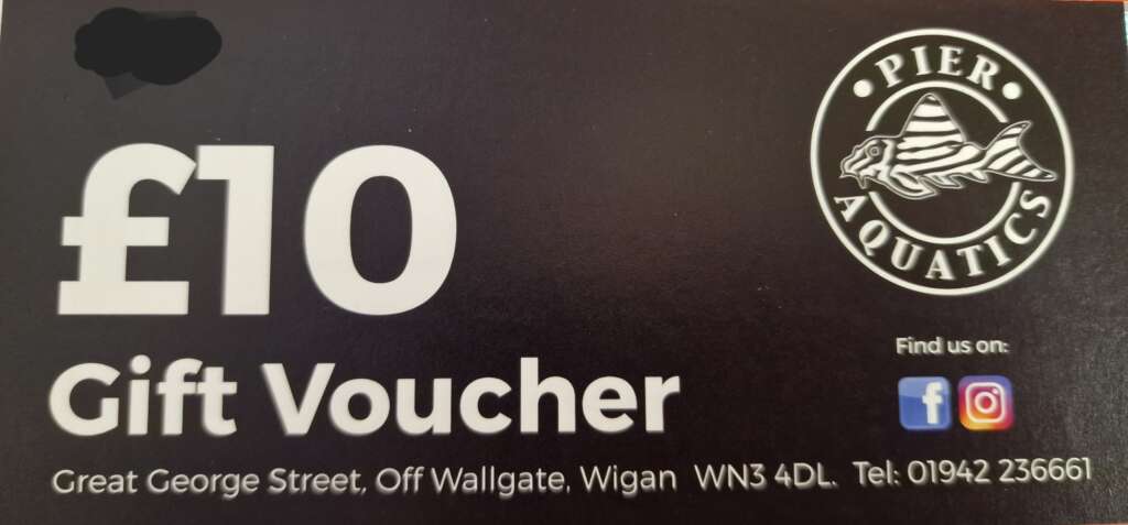 £10 Gift Voucher