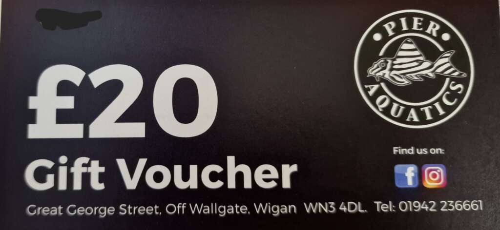 £20 Gift Voucher