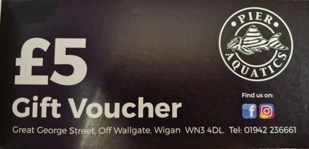 £5 Gift Voucher