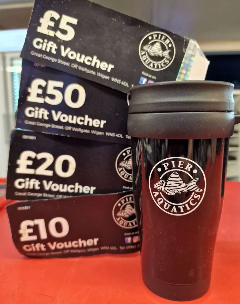 £100 Gift Voucher WITH NEXT DAY DX DELIVERY + FREE INSULATED MUG